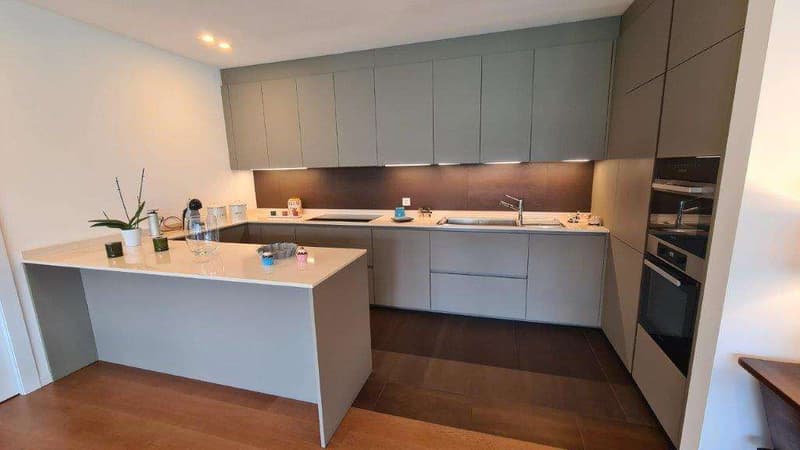 BISSONE: PRESTIGIOSO 4.5 LOC. VISTA LAGO CON GIARDINO (8)