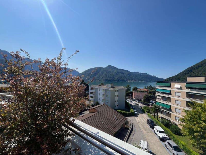 Melide: 4,5 loc. con vista lago e terrazza sul tetto (6)