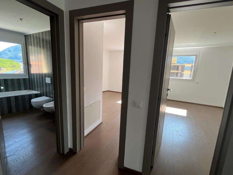 Melide: 4,5 loc. con vista lago e terrazza sul tetto (4)