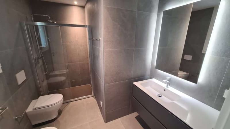 BELLINZONA - LUMINO: NUOVO 3.5 LOC. CON AMPIA TERRAZZA (8)