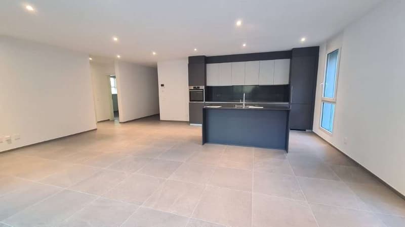 BELLINZONA - LUMINO: NUOVO 3.5 LOC. CON AMPIA TERRAZZA (6)