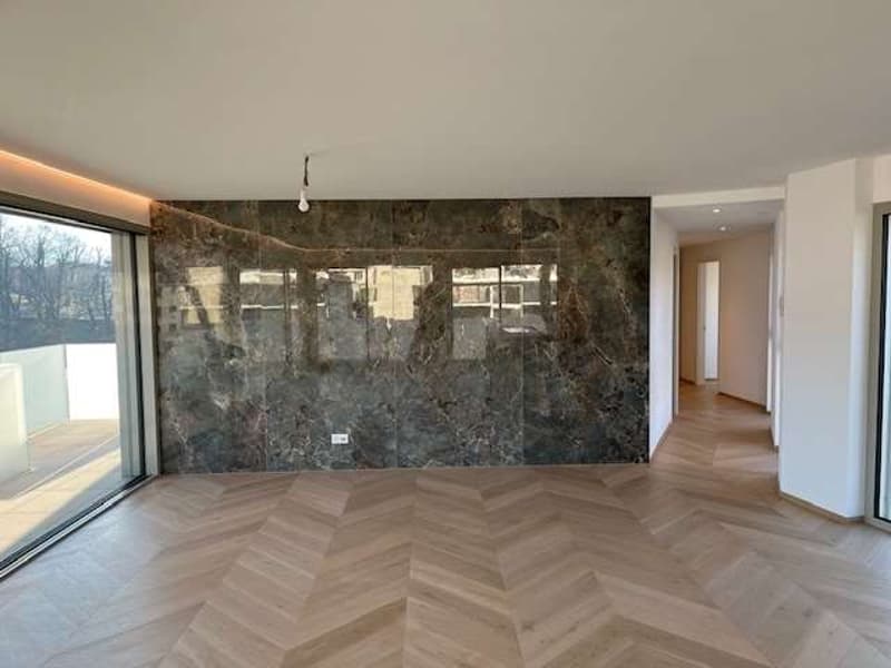 Massagno: attico con roof terrace e vista aperta (4)