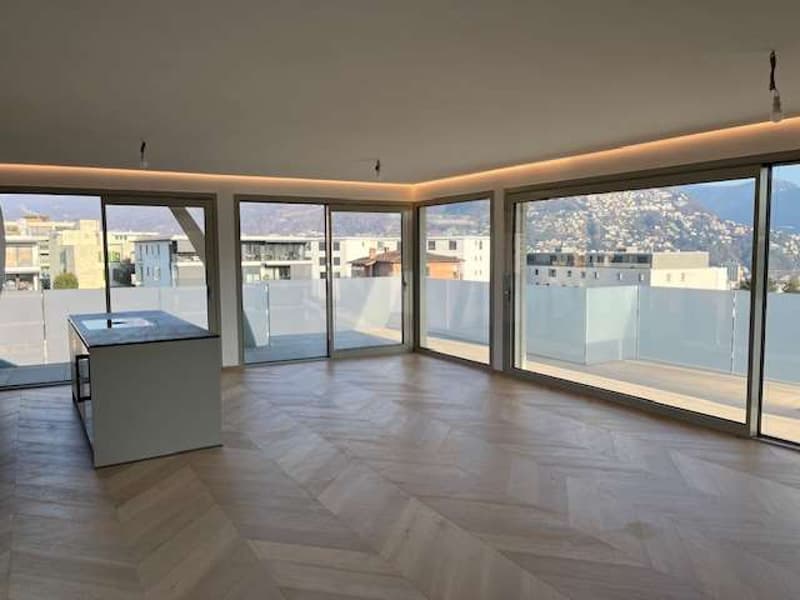 Massagno: attico con roof terrace e vista aperta (2)