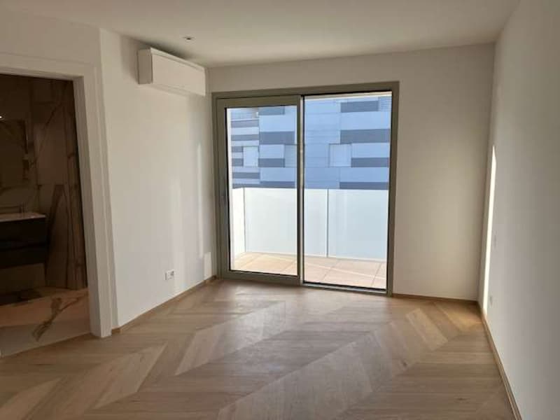 Massagno: attico con roof terrace e vista aperta (6)