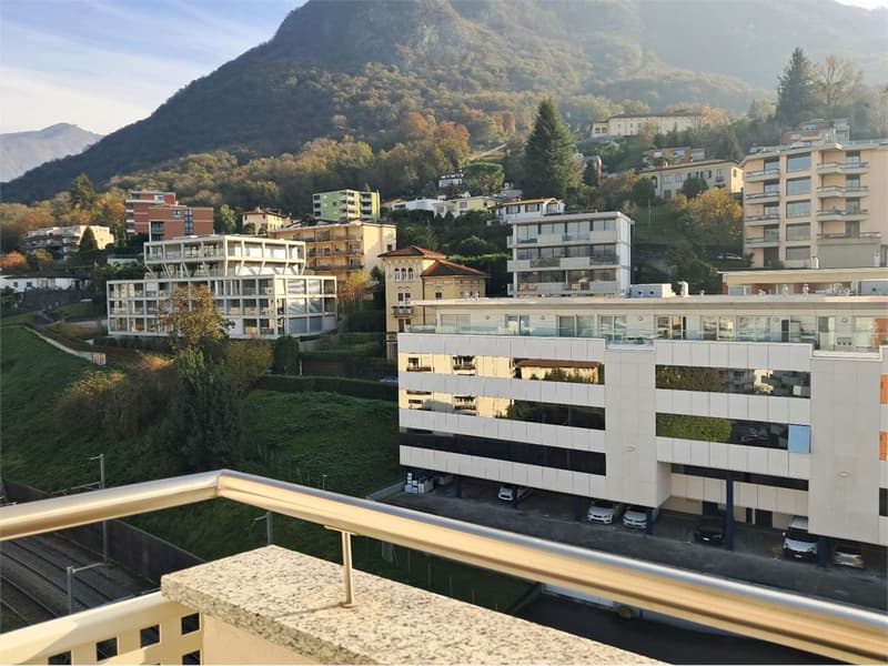 Paradiso: rinnovato attico con vista aperta (3)