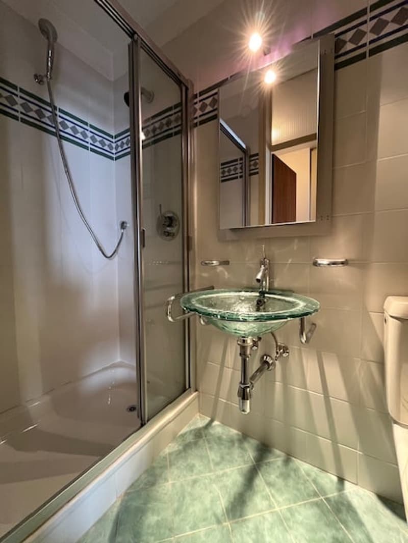 shower stall, mirror, glass sink, green tiled floor, silver sink fixtures