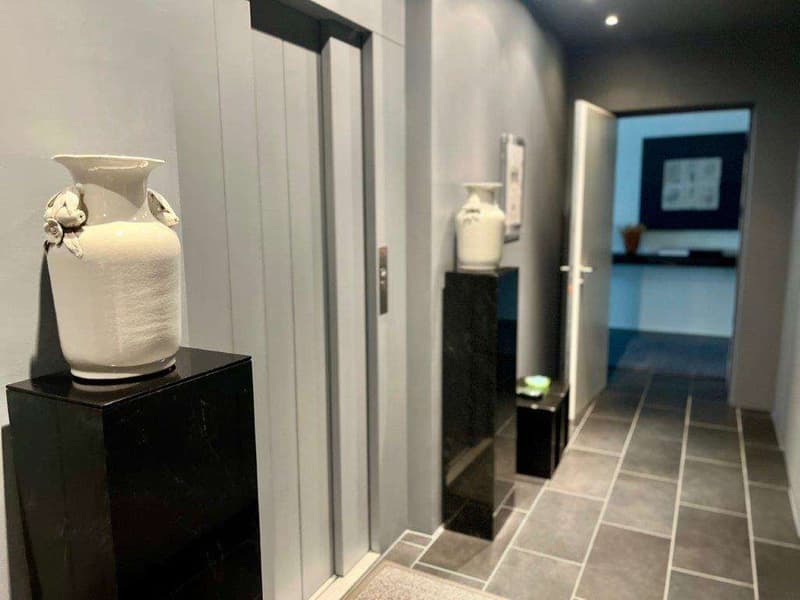 LUGANO: ATTICO DI PRESTIGIO IN CENTRO (8)