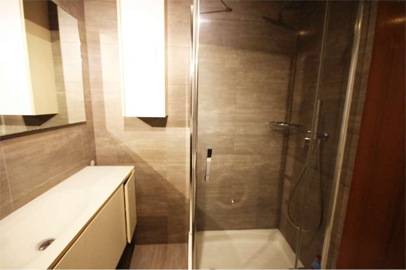 Lugano: rinnovato appartamento in zona stazione (9)