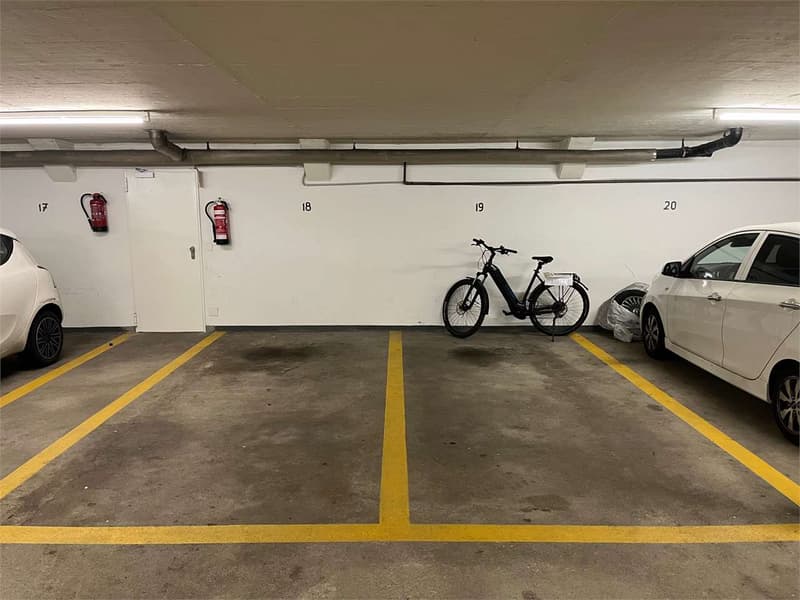 LUGANO: LUMINOSO 4.5 LOC. IN CENTRO DA RIATTARE (10)