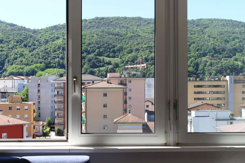 Chiasso: appartamento 4,5 loc. con vista aperta (7)