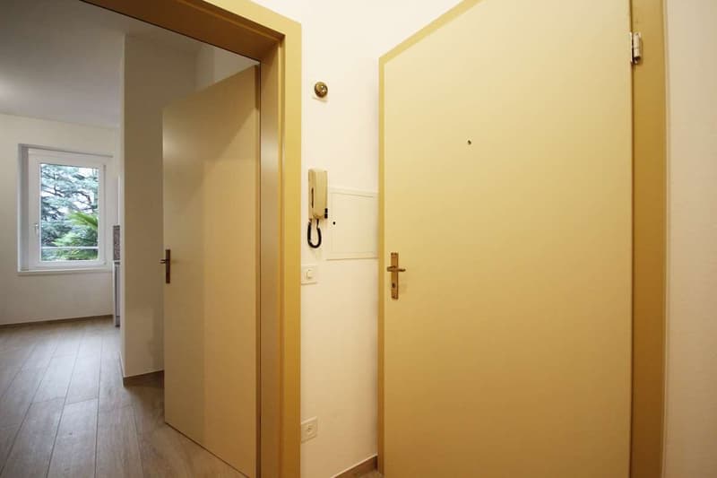 Balerna: 4 locali ristrutturato con vista aperta (8)