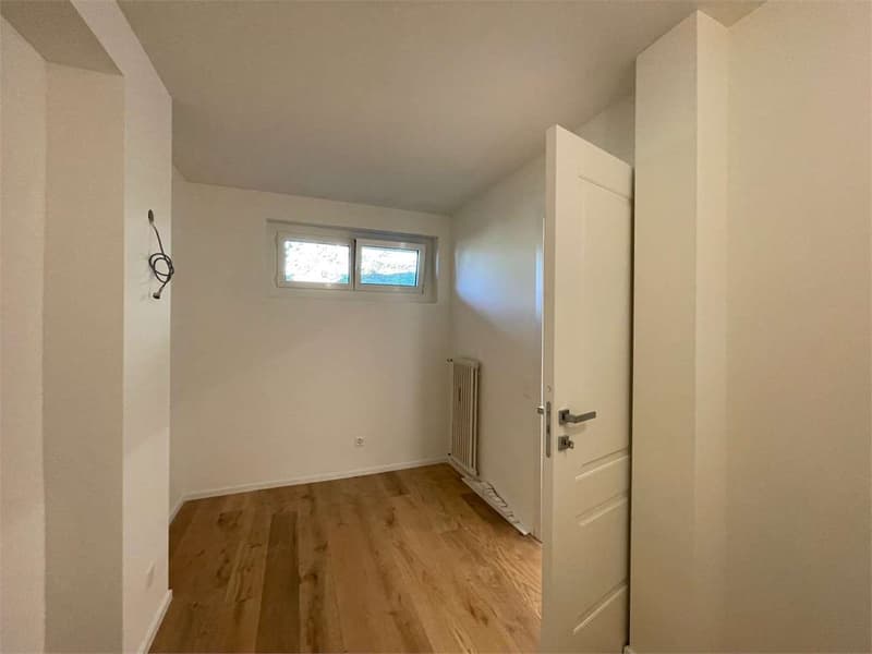 Lugano: elegante 3.5 locali ristrutturato con piscina (5)
