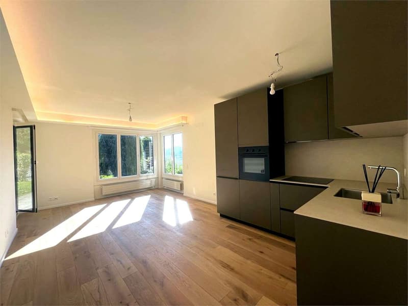 Lugano: elegante 3.5 locali ristrutturato con piscina (3)
