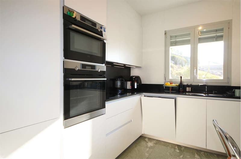 Lugano-Castagnola: appartamento vista lago - Residenza secondaria (5)
