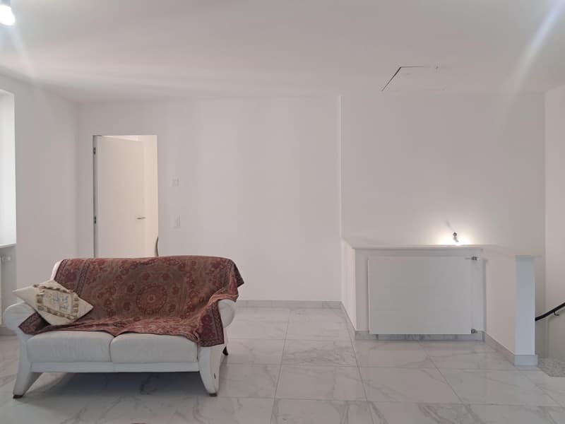 Moderno appartamento arredato di 2.5 locali a due passi dal lago (7)