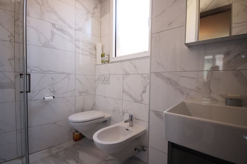 Moderno appartamento arredato di 2.5 locali a due passi dal lago (8)