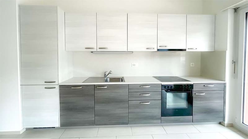 APPARTAMENTO 3,5 LOCALI A LUGANO-CASSARATE (4)