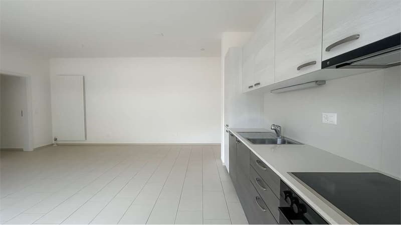 APPARTAMENTO 3,5 LOCALI A LUGANO-CASSARATE (3)