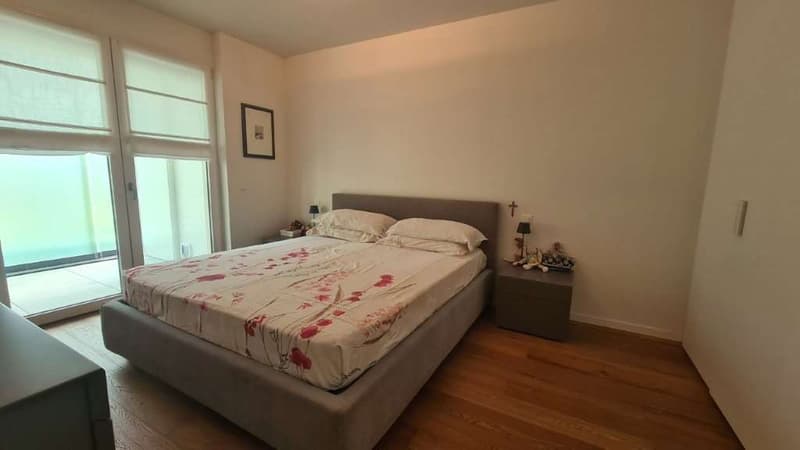 MENDRISIO: GRANDE 2.5 LOC. CON VERANDA E GIARDINO (6)