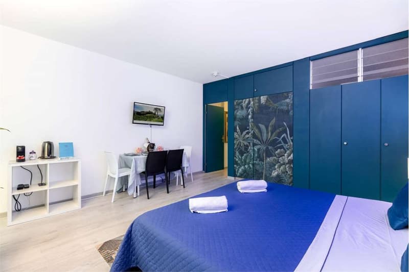 Splendido 2 locali arredato a Bissone (3)