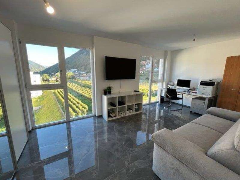 MENDRISIO: 2.5 LOC. ATTICO DI ALTO STANDING CON TERRAZZO (4)