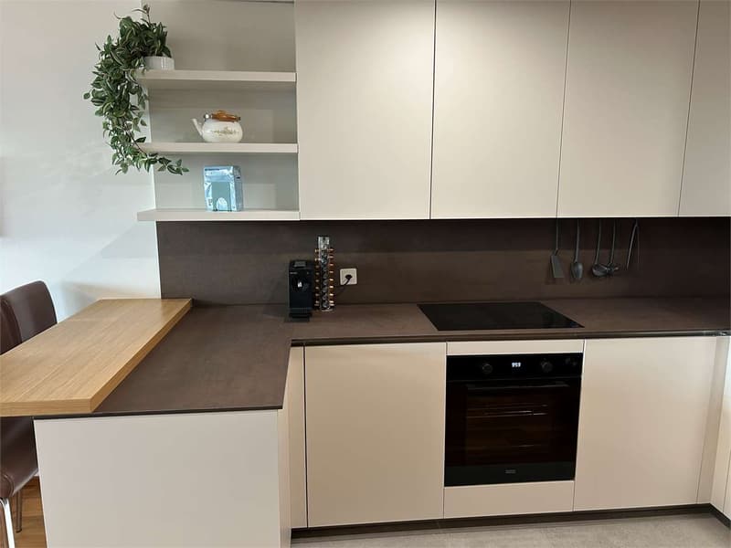 Lugano Cassarate: 2.5 loc. ristrutturato con vista lago (4)