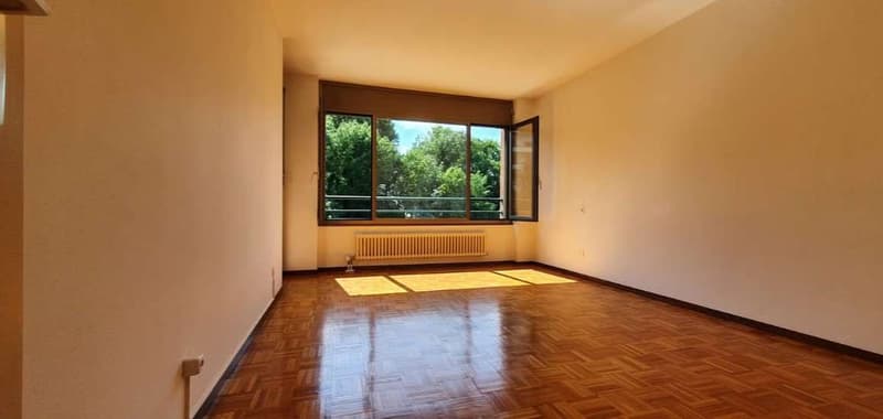 BALERNA: LUMINOSO 4.5 LOC. CON PARCO CONDOMINIALE (6)