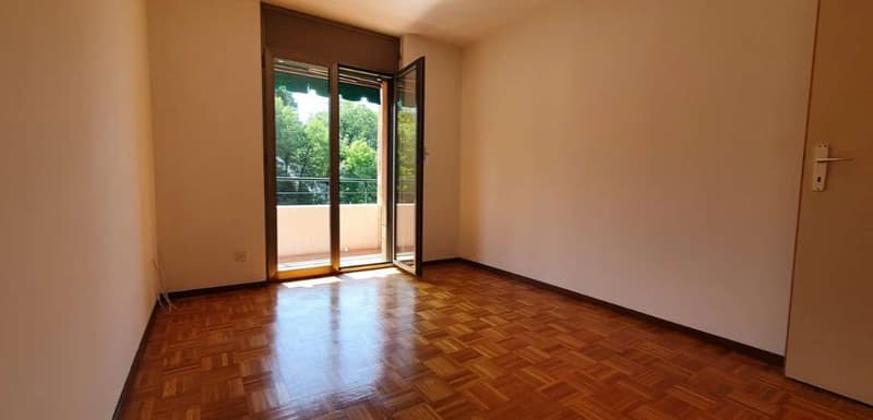 BALERNA: LUMINOSO 4.5 LOC. CON PARCO CONDOMINIALE (7)