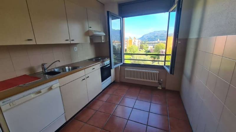 BALERNA: LUMINOSO 4.5 LOC. CON TERRAZZA - PARCO CONDOMINIALE (5)