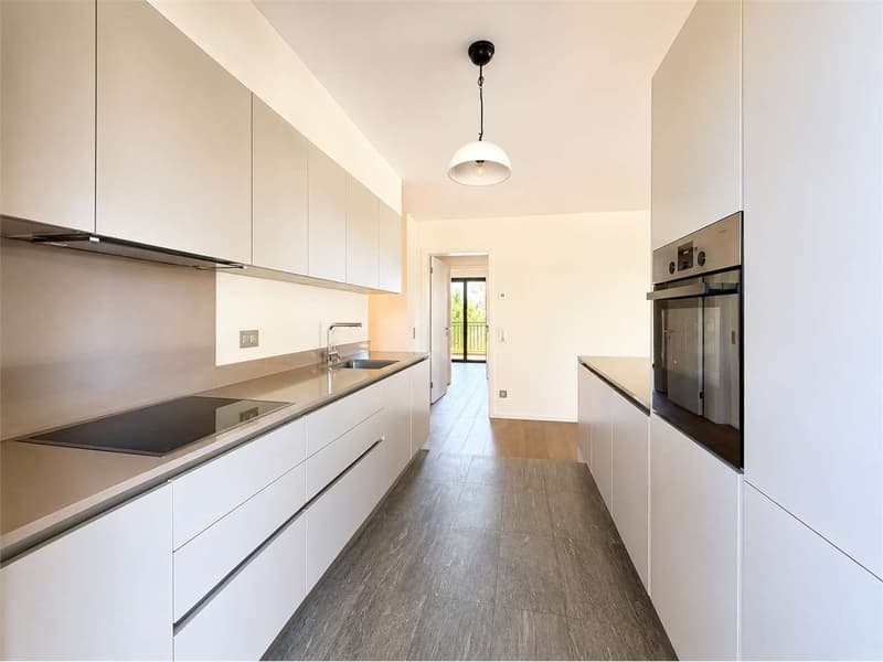 Eleganza, comfort e privacy nel cuore di Montagnola (3)