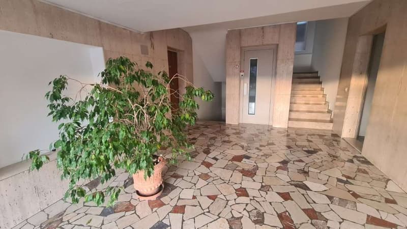 VACALLO: GRAZIOSO UFFICIO-APPARTAMENTO 2 LOC. CON GARAGE (5)