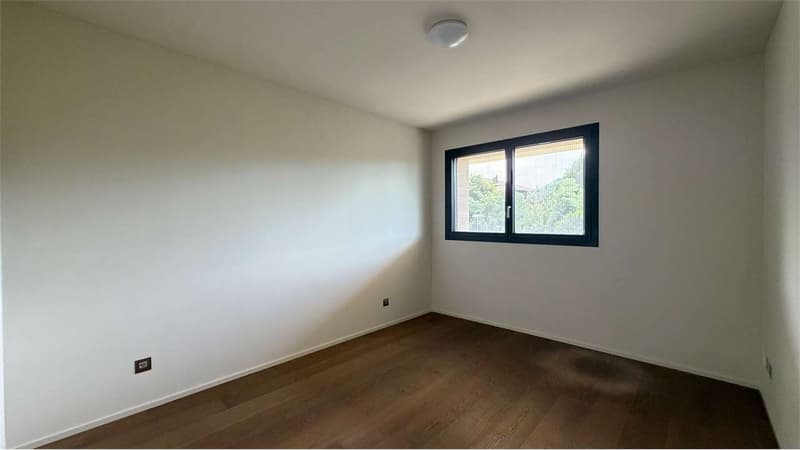Montagnola: nuovo 2.5 locali in affitto (5)