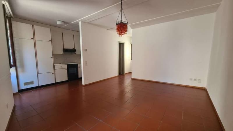 MORCOTE: GRAZIOSO 2.5 LOC. IN ZONA LUNGOLAGO (7)