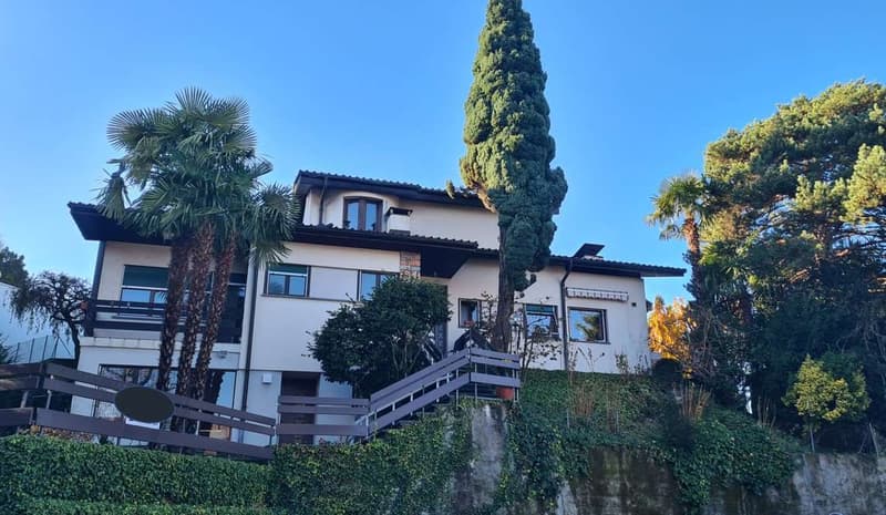 COLLINA D'ORO: GRANDE 2.5 LOC. ARREDATO CON GIARDINO (1)