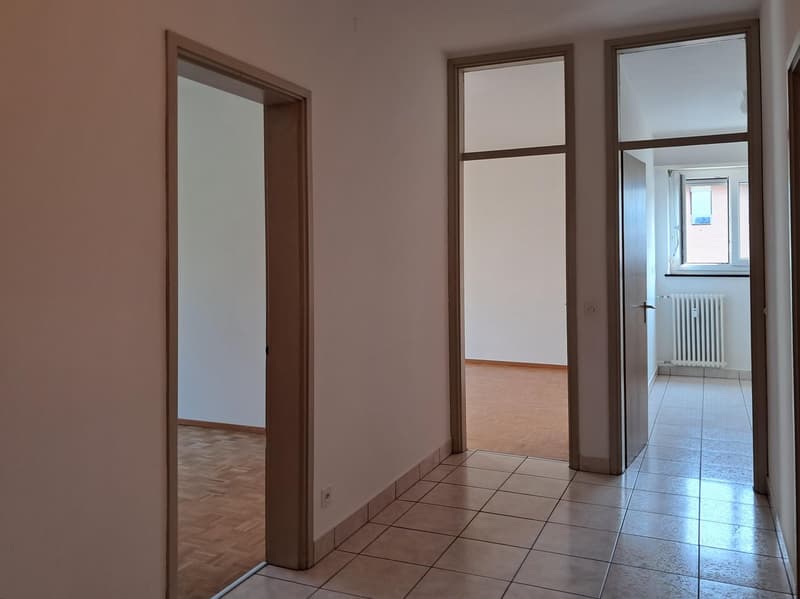 Lugano: appartamento di 2.5 locali con balcone (8)