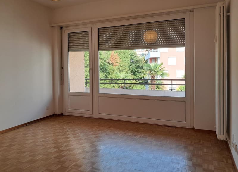 Lugano: appartamento di 2.5 locali con balcone (3)