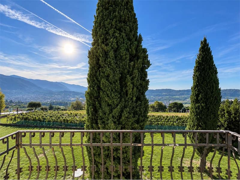 Mendrisio-Arzo: 3.5 loc con incantevole vista aperta (2)