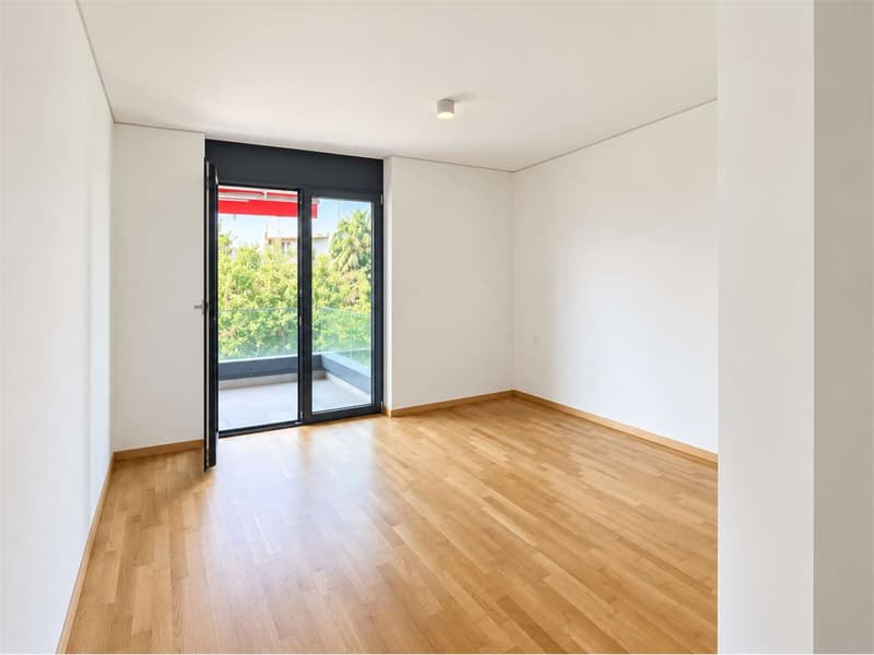 Vacallo luminoso 4.5 loc con grande terrazza e ampi spazi interni (7)