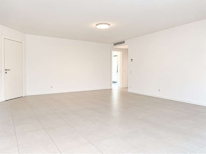 Vacallo luminoso 4.5 loc con grande terrazza e ampi spazi interni (4)
