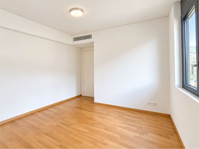 Vacallo luminoso 4.5 loc con grande terrazza e ampi spazi interni (8)