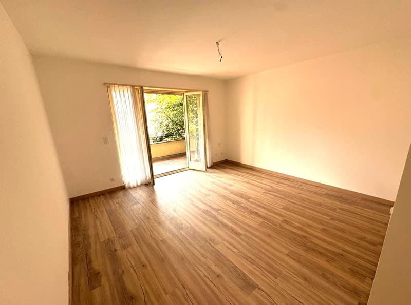 Viganello: appartamento ristrutturato 3.5 locali con terrazza (1)