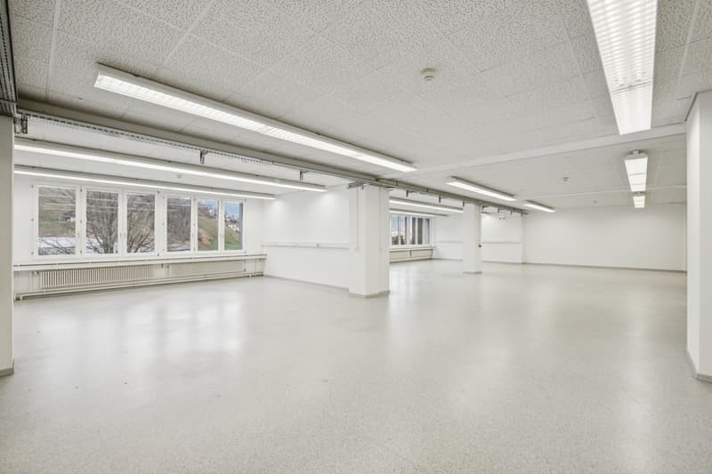 594999-B-backbonephoto-025_Grossraum Büro 1.jpg