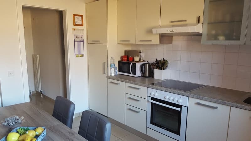 Spazioso appartamento di 4 locali (5)