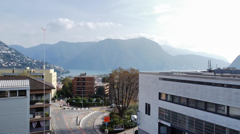Residenza Selva - Appartamento di 3.5 Locali a Massagno (8)