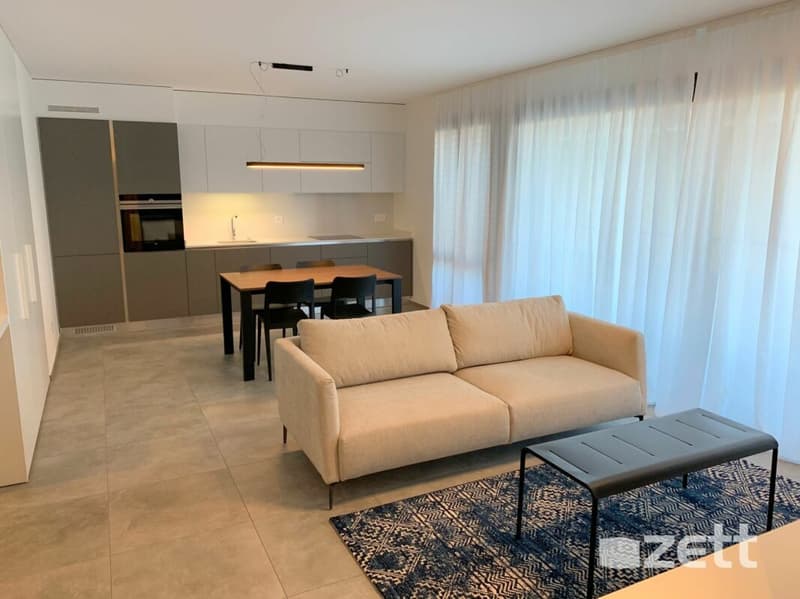 Lugano - Residenza 7Bello - Appartamento 2.5 locali con grande terrazza e giardino (2)