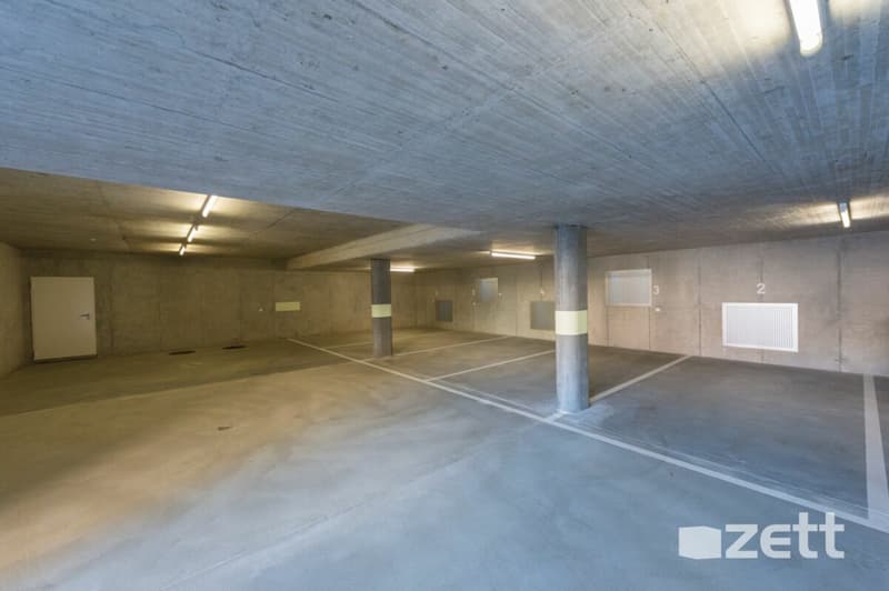 Pregassona - Residenza Fenice - Appartamento 3.5 locali con giardino (7)
