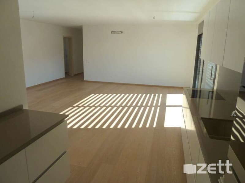 Pregassona - Residenza Fenice - Appartamento 3.5 locali con giardino (2)