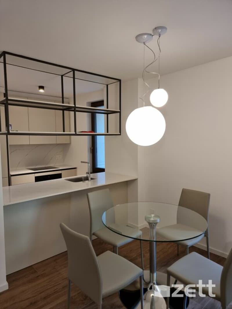 Gravesano - Appartamento arredato di 2.5 locali al PT con cortile privato (5)