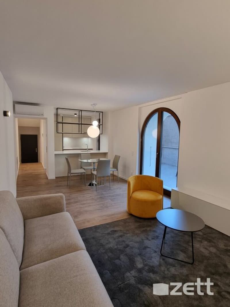 Gravesano - Appartamento arredato di 2.5 locali al PT con cortile privato (1)