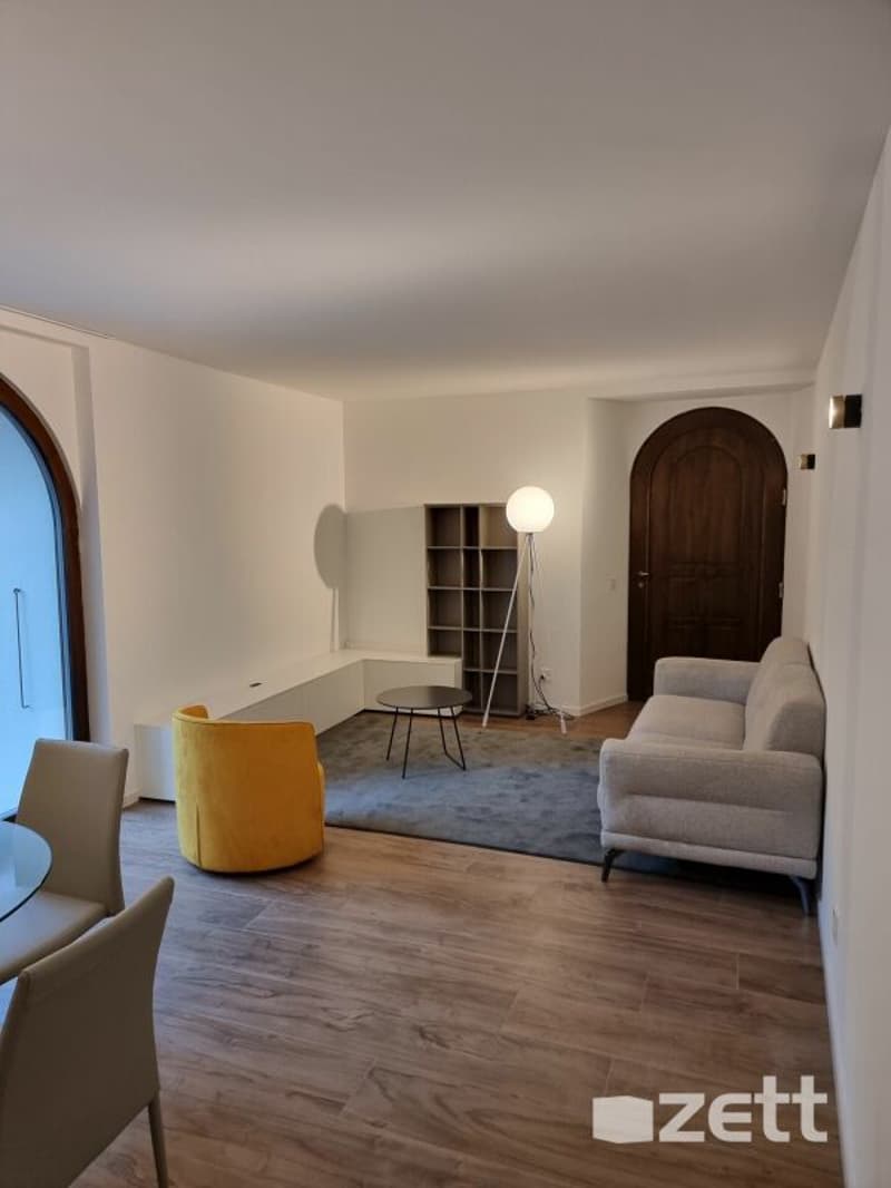 Gravesano - Appartamento arredato di 2.5 locali al PT con cortile privato (2)